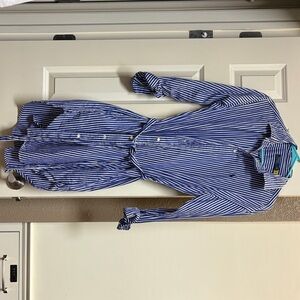 Polo Ralph Lauren Blue and White Striped Button-Up Shirt Dress